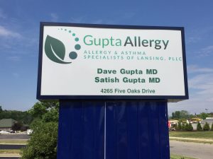 Gupta Allergy Sign